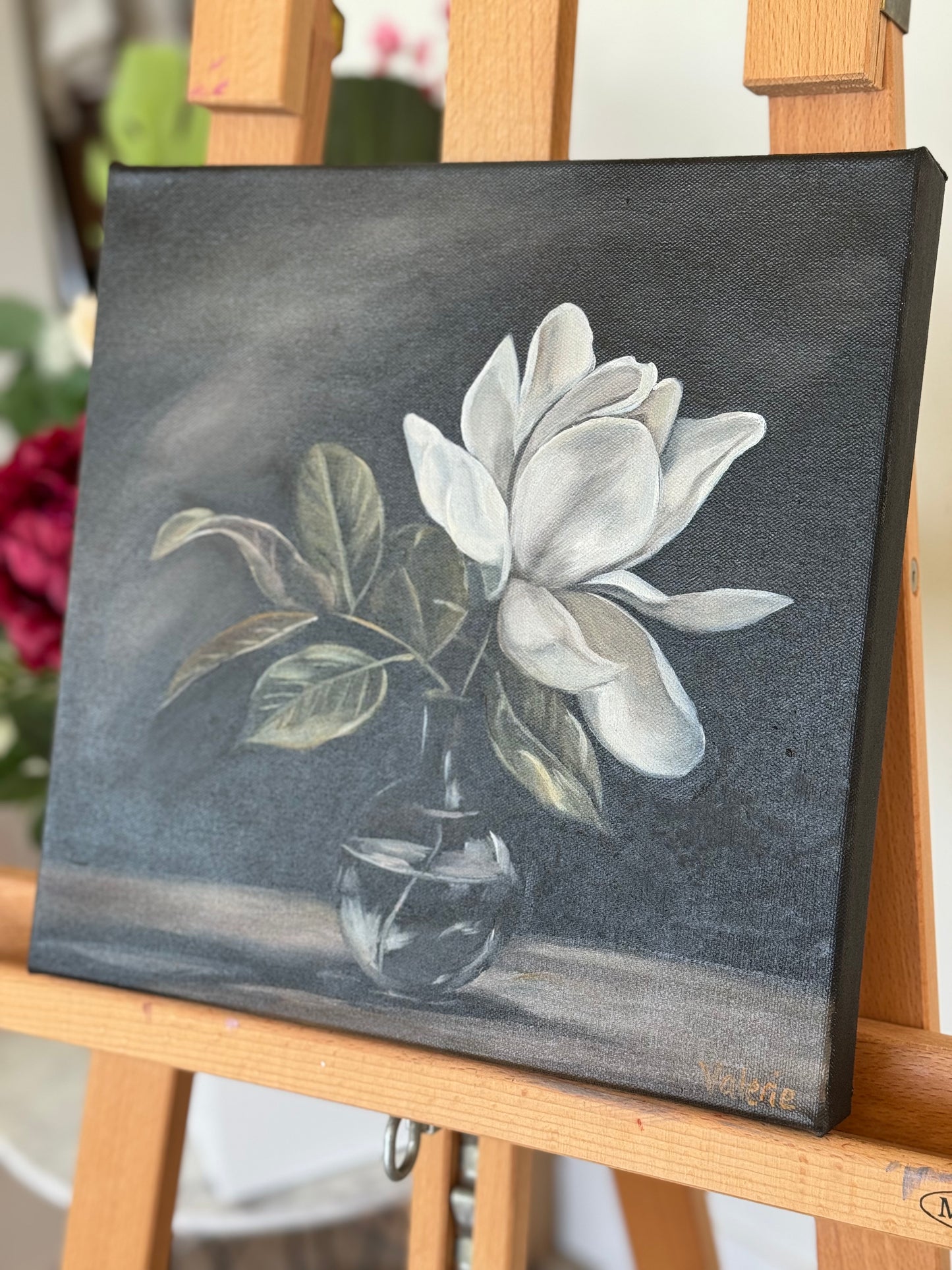 Magnolia Spotlight