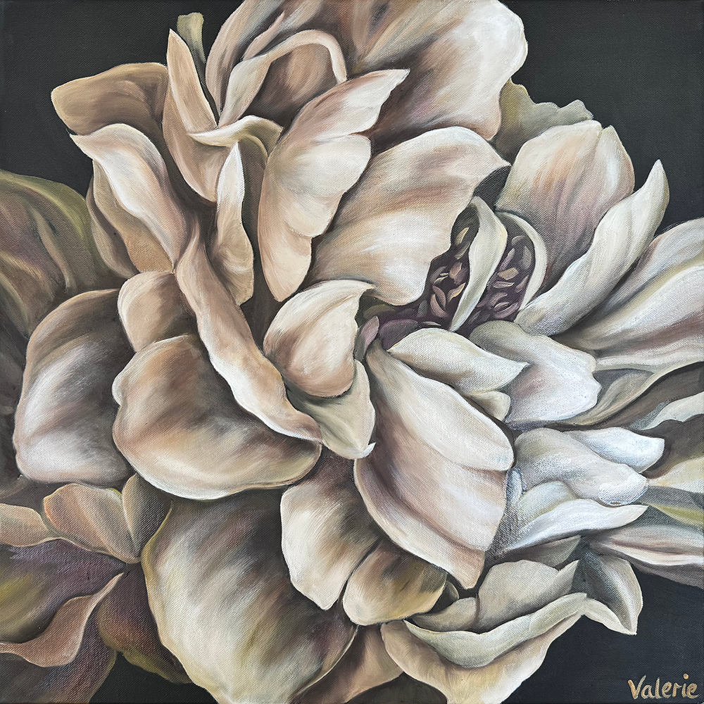 Portrait of a Vintage Peony