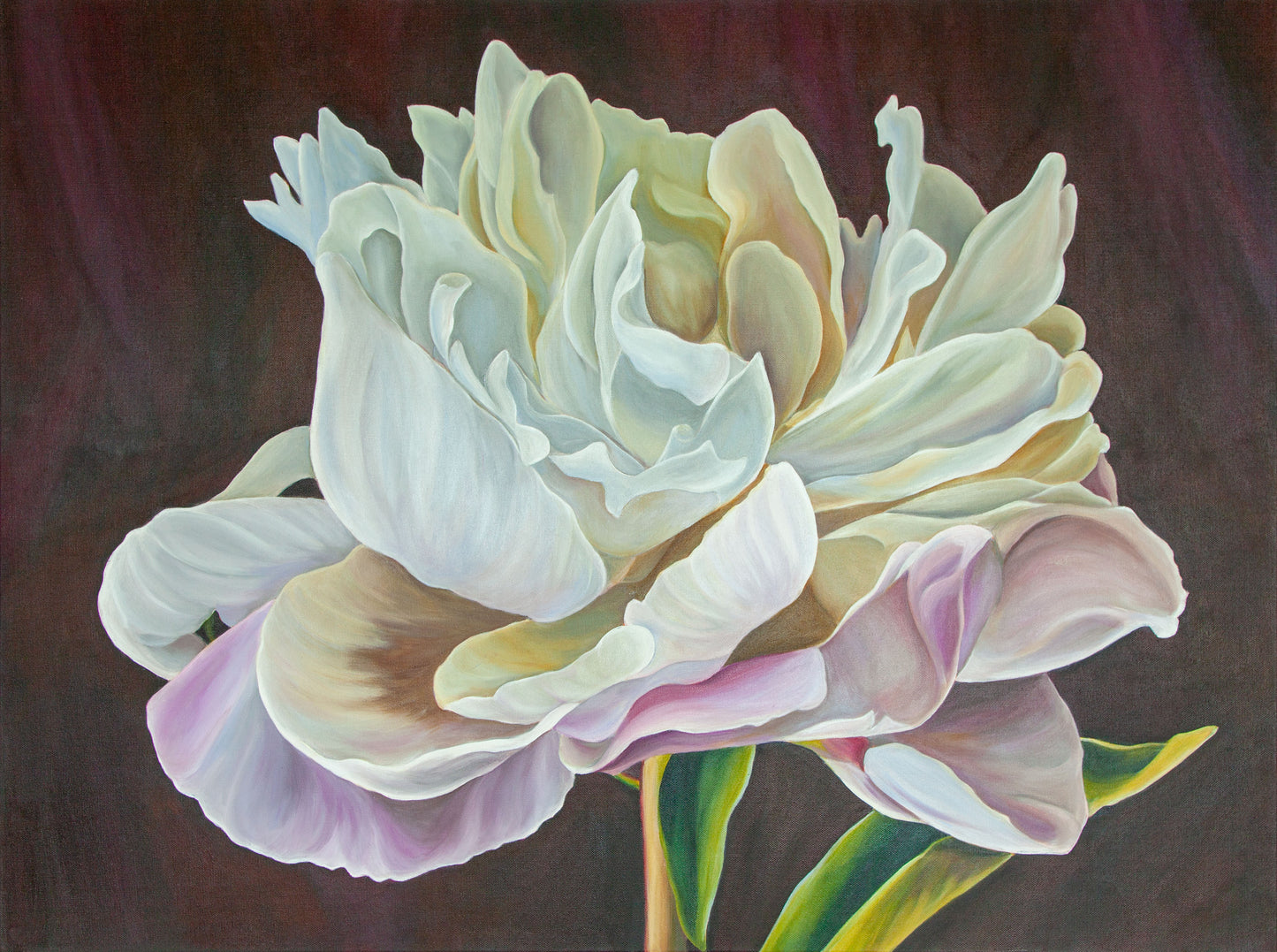 Everlight Peony
