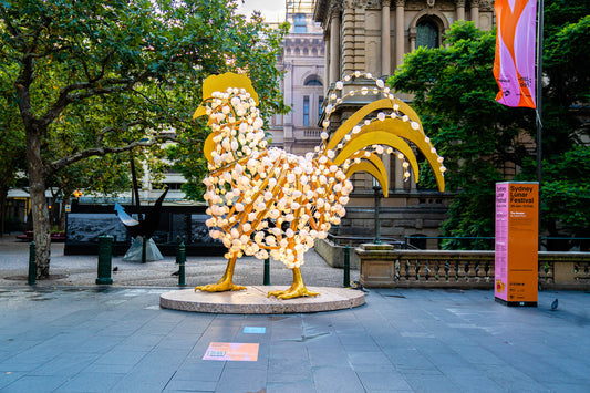 The Rooster at Sydney Town Hall
