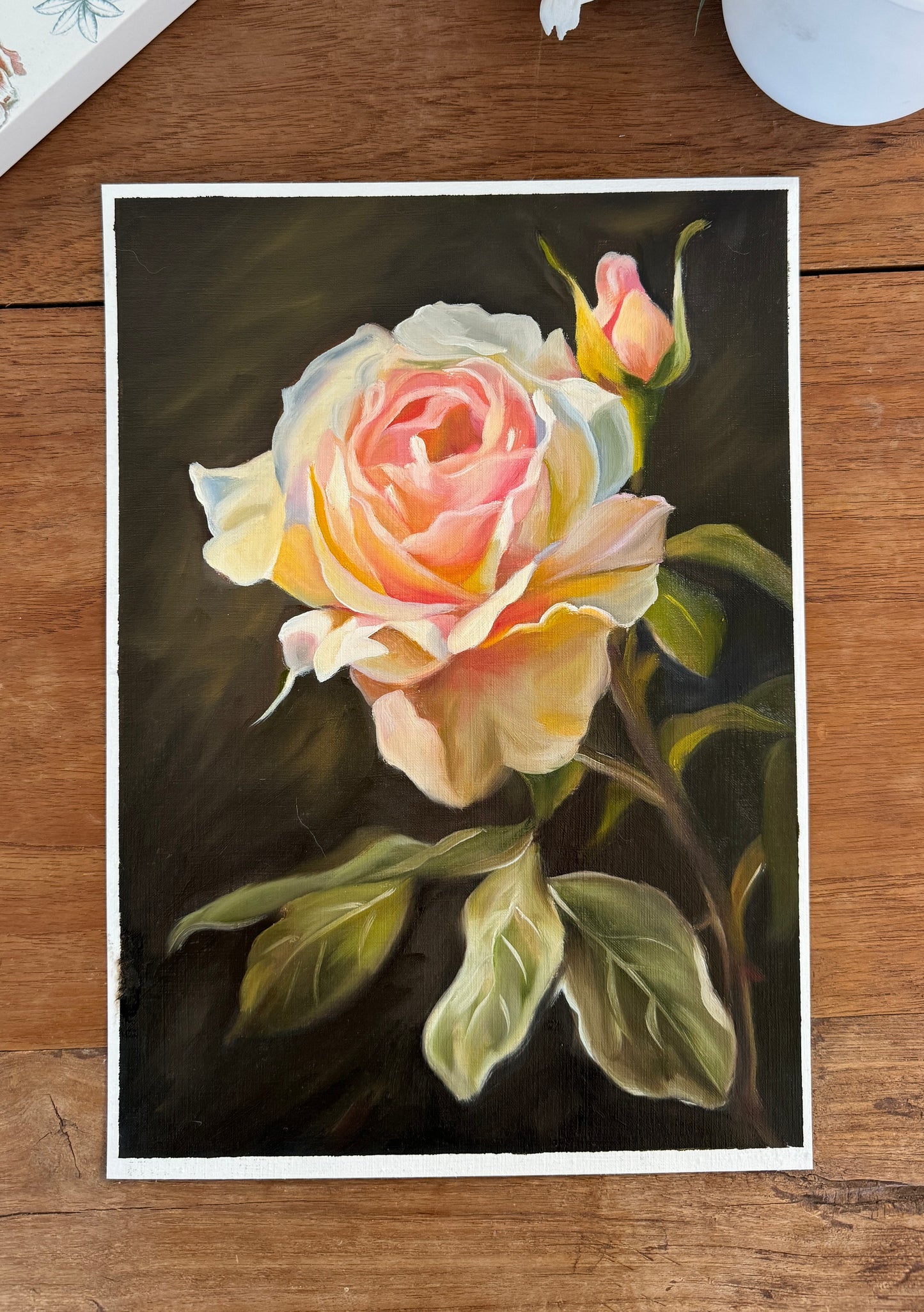 Garden Rose – Fine Art Print