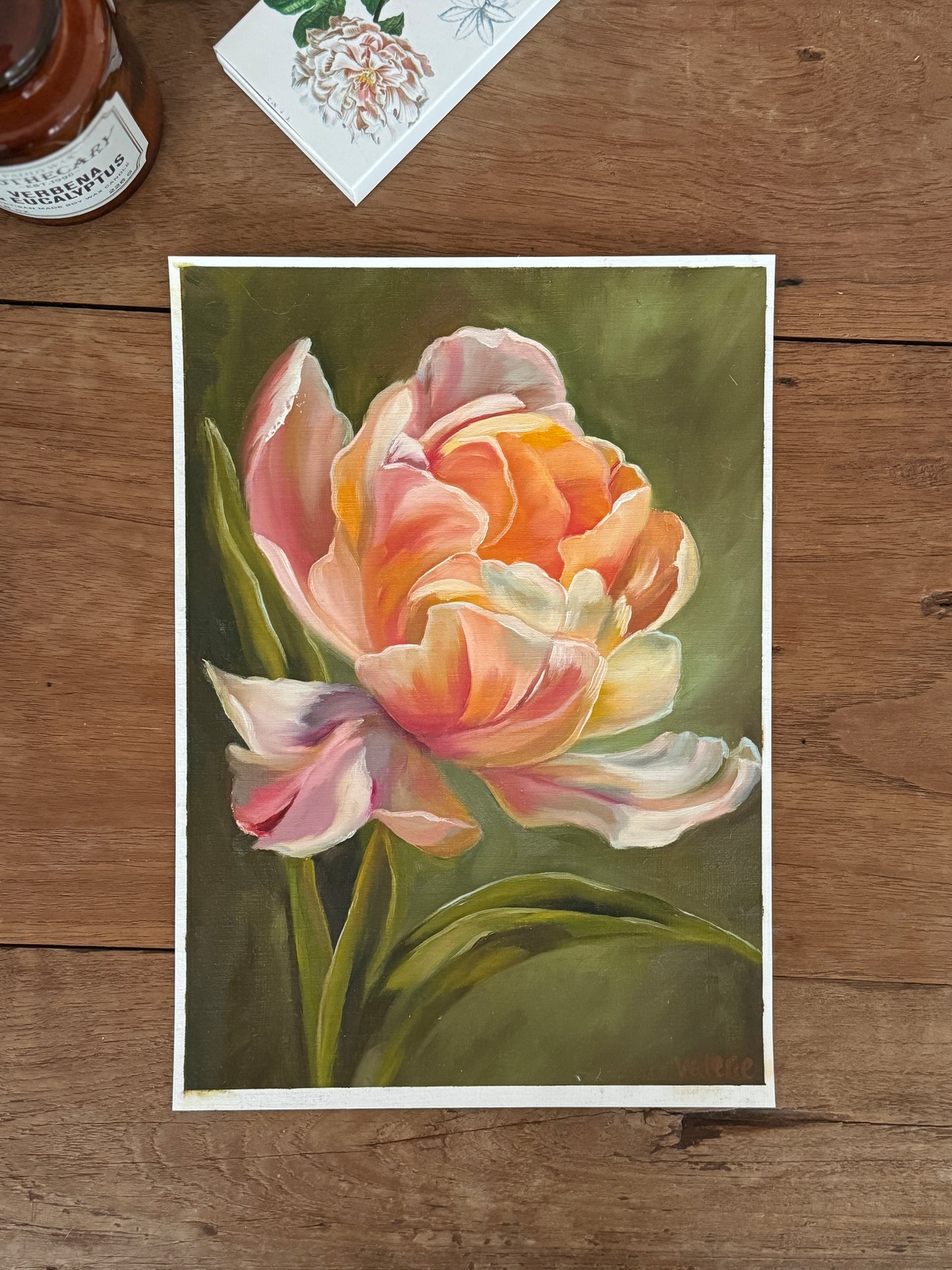 A Classic Tulip – Fine Art Print