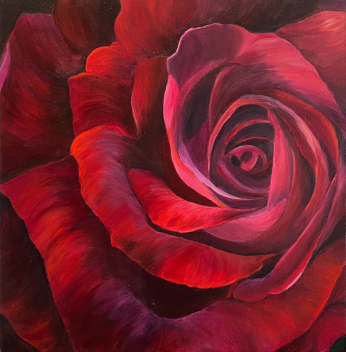 Deep Red Rose Sonata